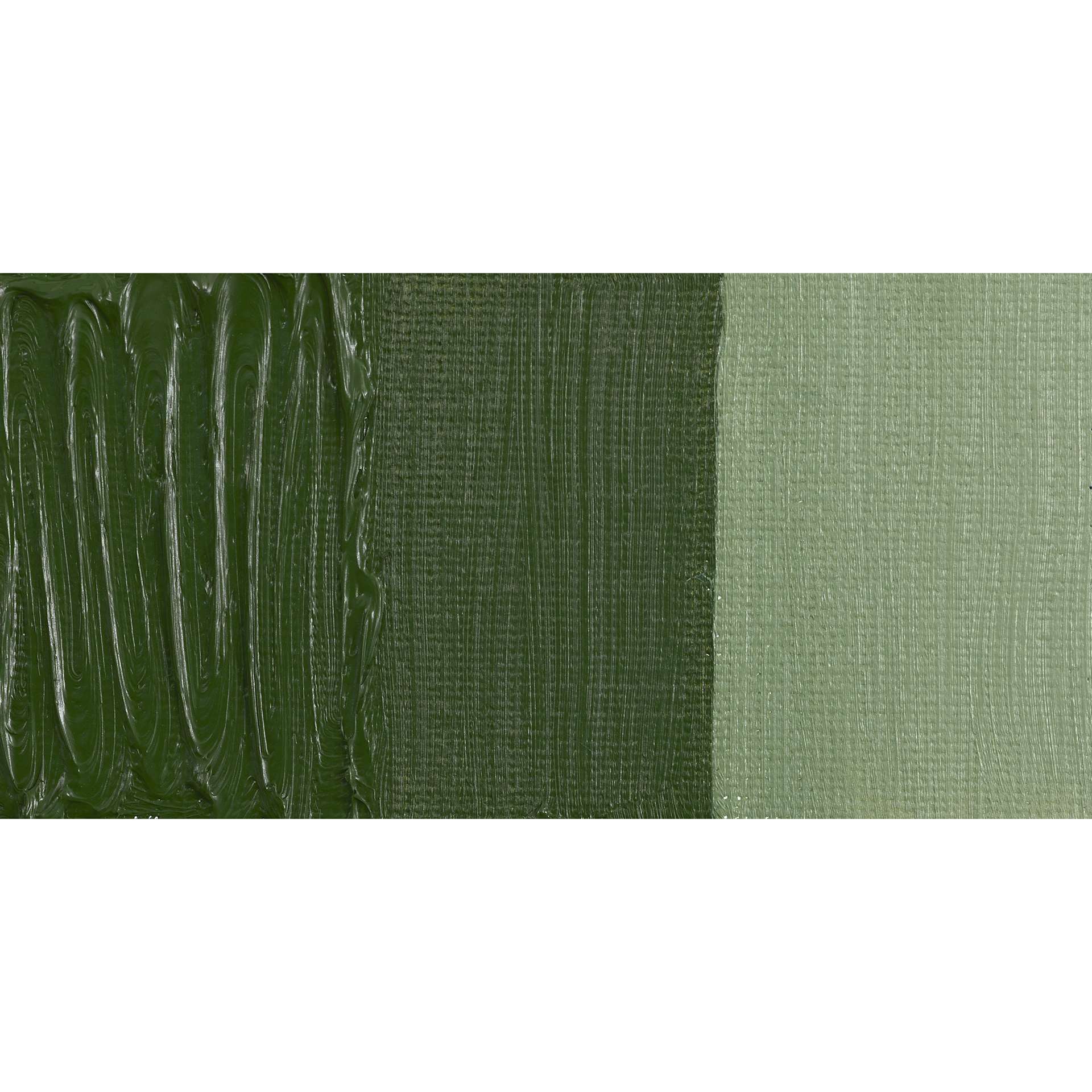 Gamblin Artist's Oil Color - Forest Floor Green, swatch