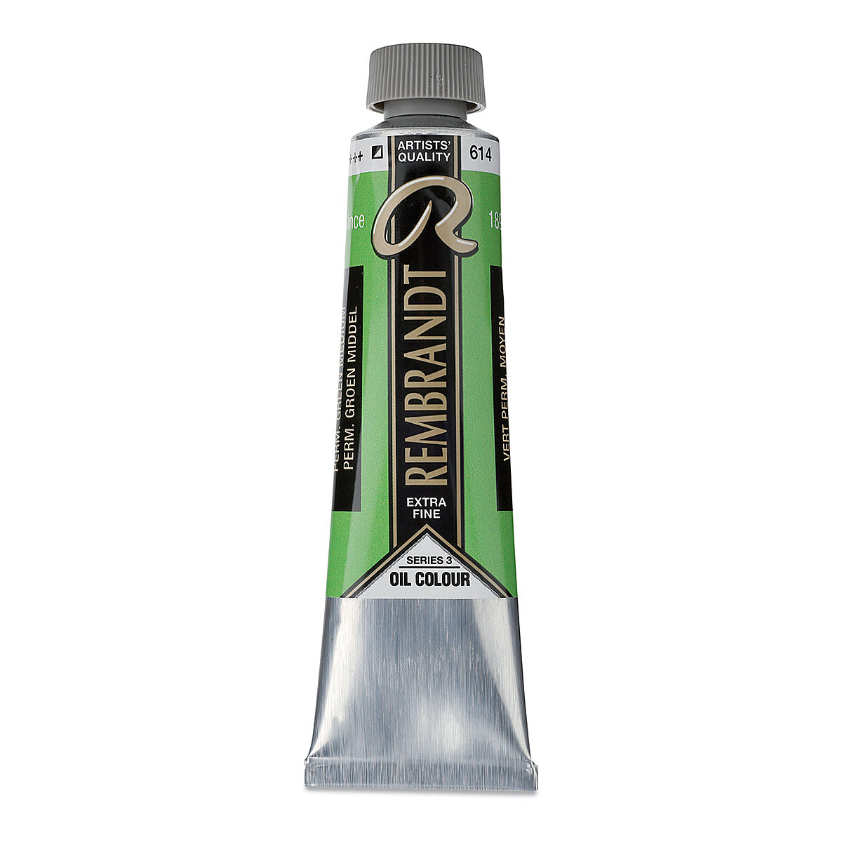 Rembrandt Artists' Oil Color - Permanent Green Medium, 40 ml tube