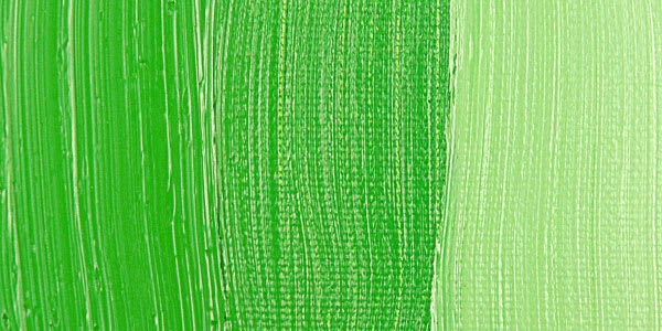 Rembrandt Artists' Oil Paint - Permanent Green Light swatch
