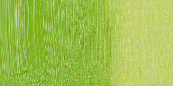Holbein Artists' Oil Color - Permanent Green Light swatch