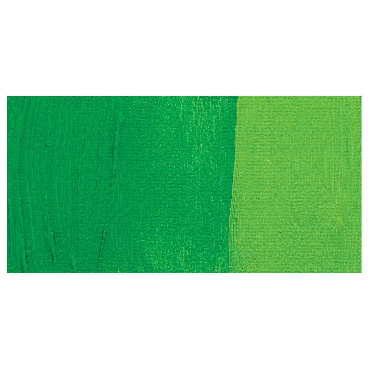 Winsor & Newton Winton Oil Color - Phthalo Yellow Green swatch