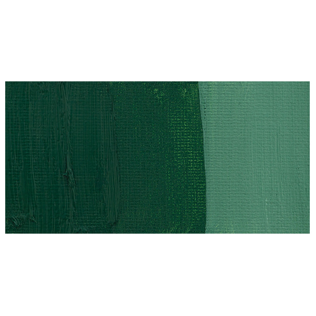 Winsor & Newton Winton Oil Color - Dark Verdigris swatch Winsor & Newton Winton Oil Color - Dark Verdigris swatch