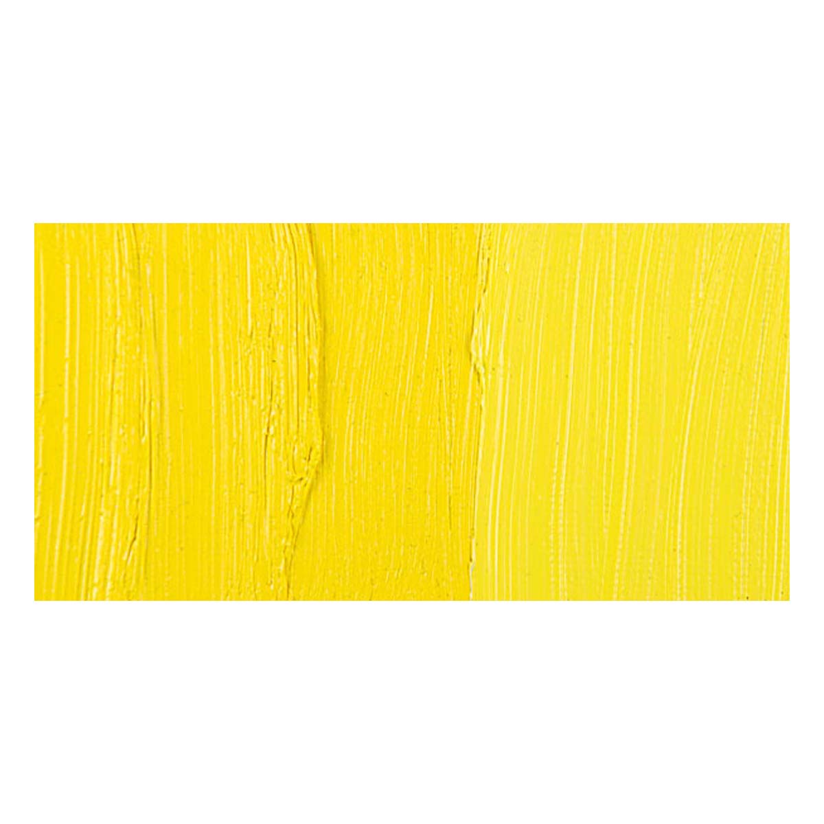 Winsor & Newton Winton Oil Color - Cadmium Lemon swatch