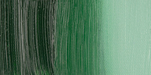 Winsor & Newton Winton Oil Color - Terre Verte swatch