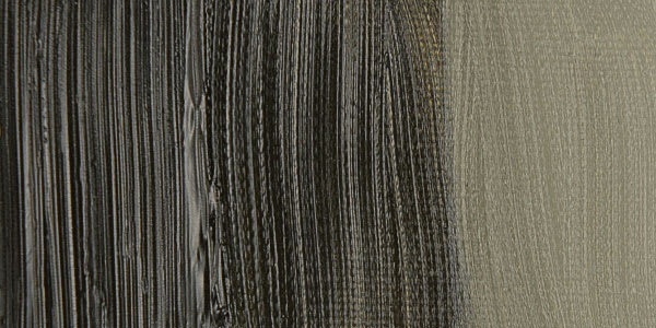 Winsor & Newton Artists' Oil Paint - Raw Umber (Green Shade) swatch