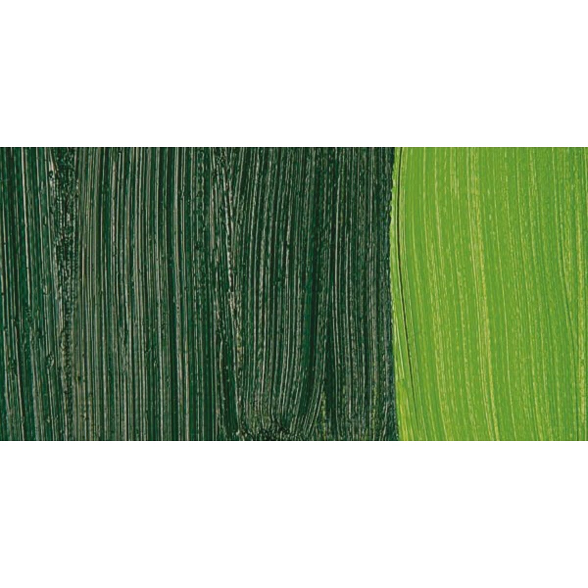 Old Holland Classic Oil Paint - Sap Green Lake Extra swatch