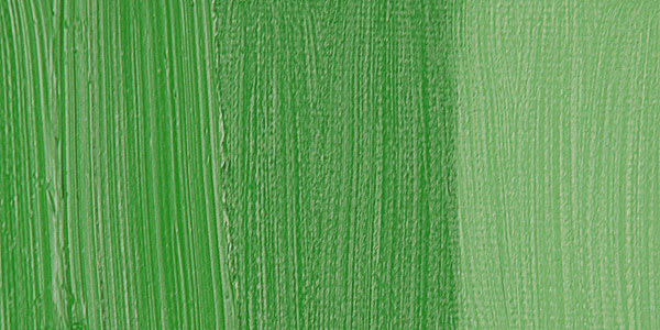 Old Holland Classic Oil Paint - Cadmium Green Light swatch