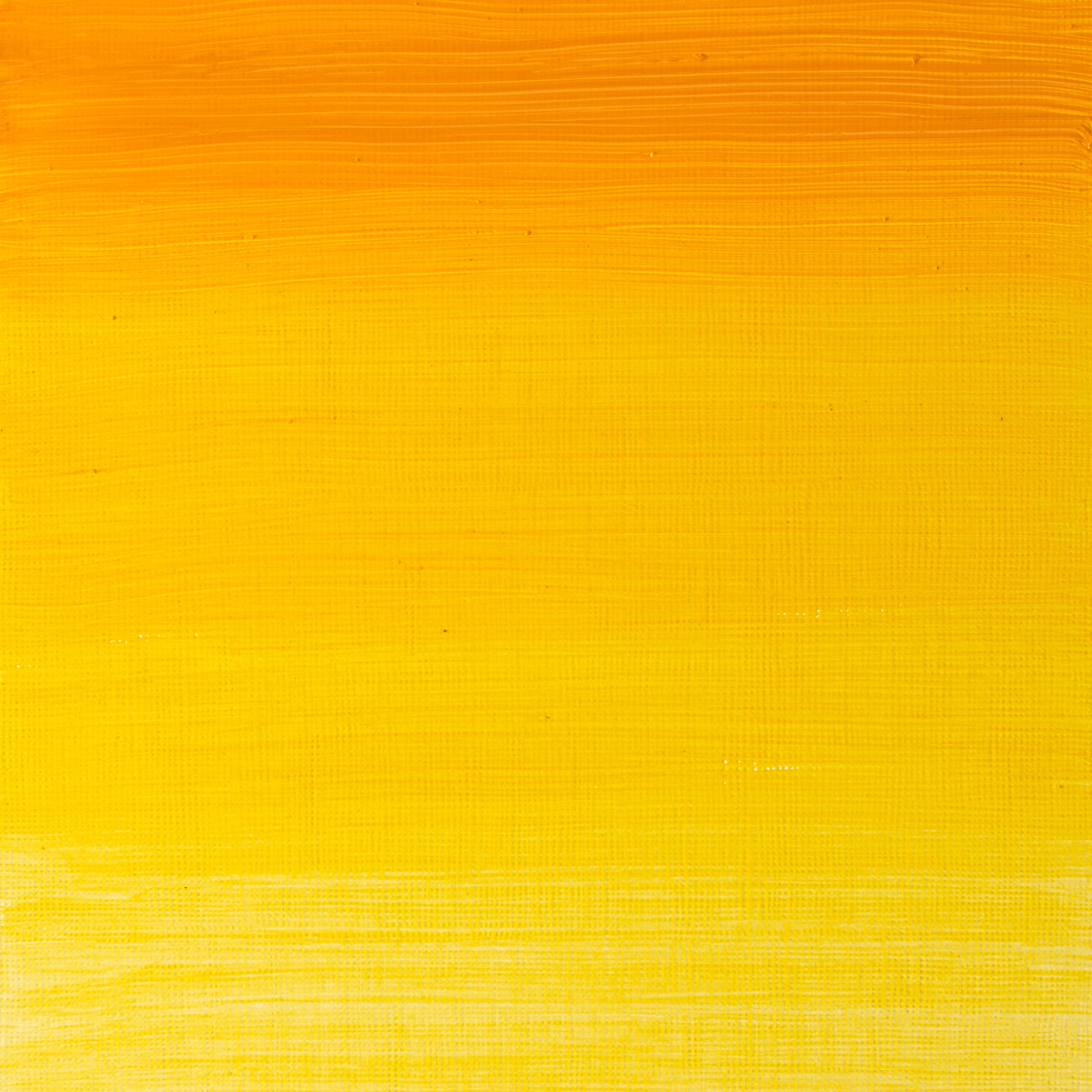 Griffin Alkyd Colors Indian Yellow - Old UPC
