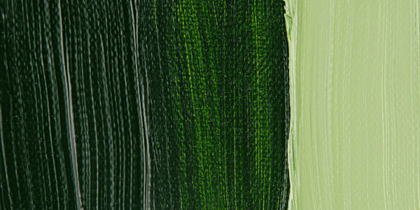 Winsor & Newton Griffin Alkyd - Permanent Sap Green swatch