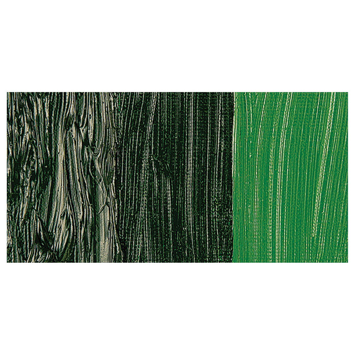 CAS AlkydPro Fast-Drying Alkyd Oil Paint - Sap Green swatch