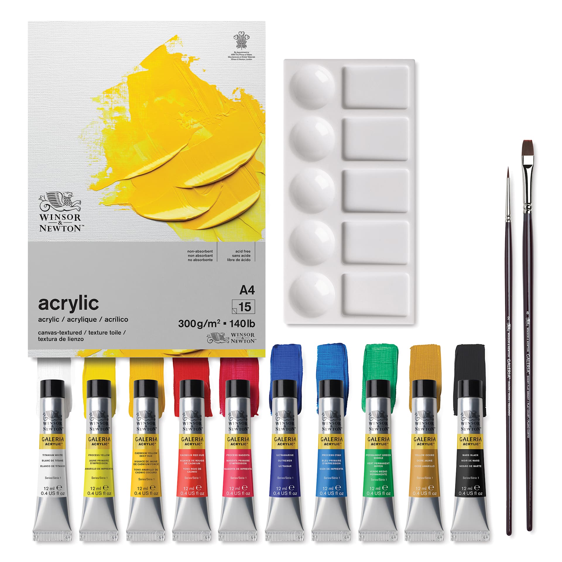 Winsor & Newton Galeria Acrylic Paint - Set of 14, Essential Colors