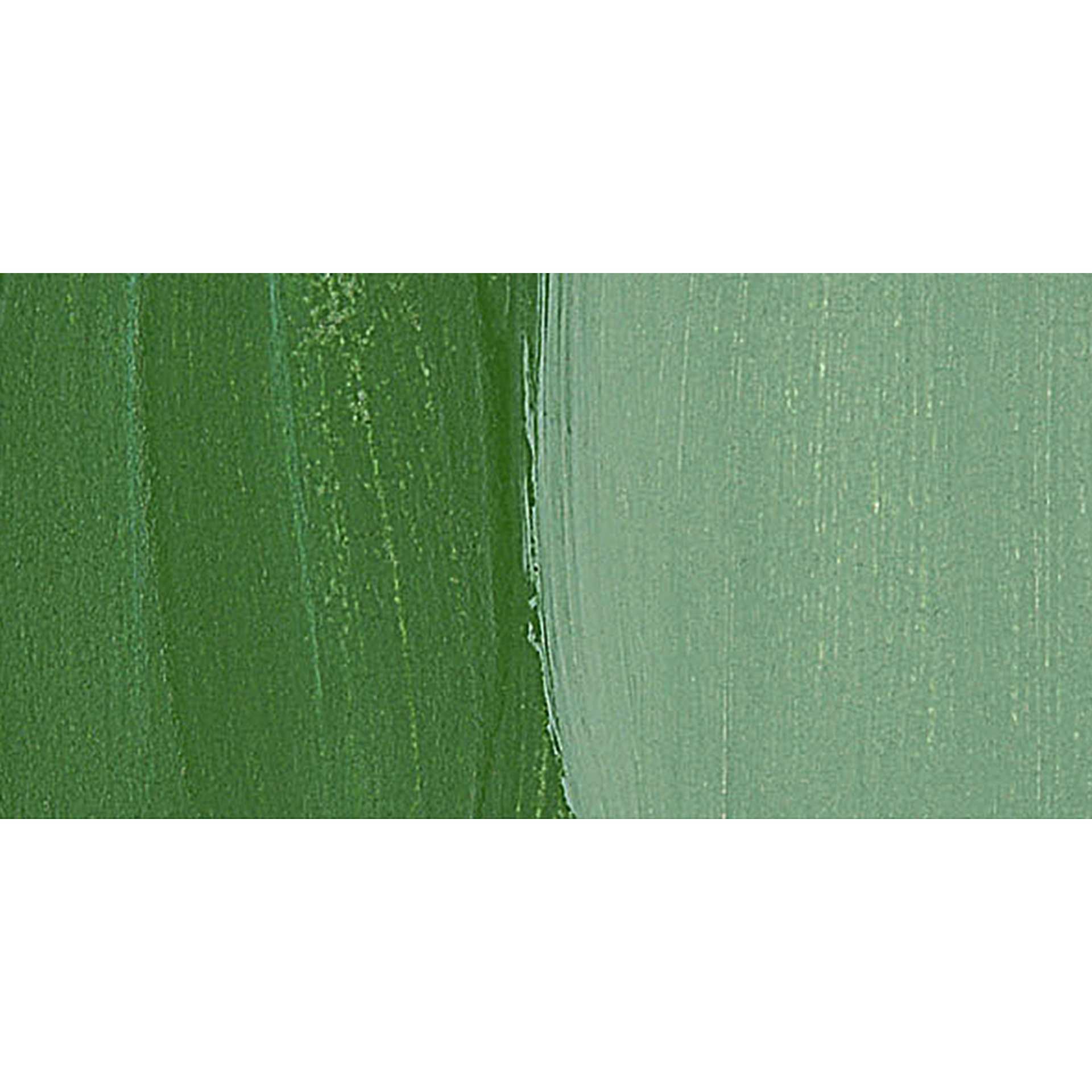 Liquitex Professional Soft Body Acrylic Paint - Chromium Oxide Green swatch