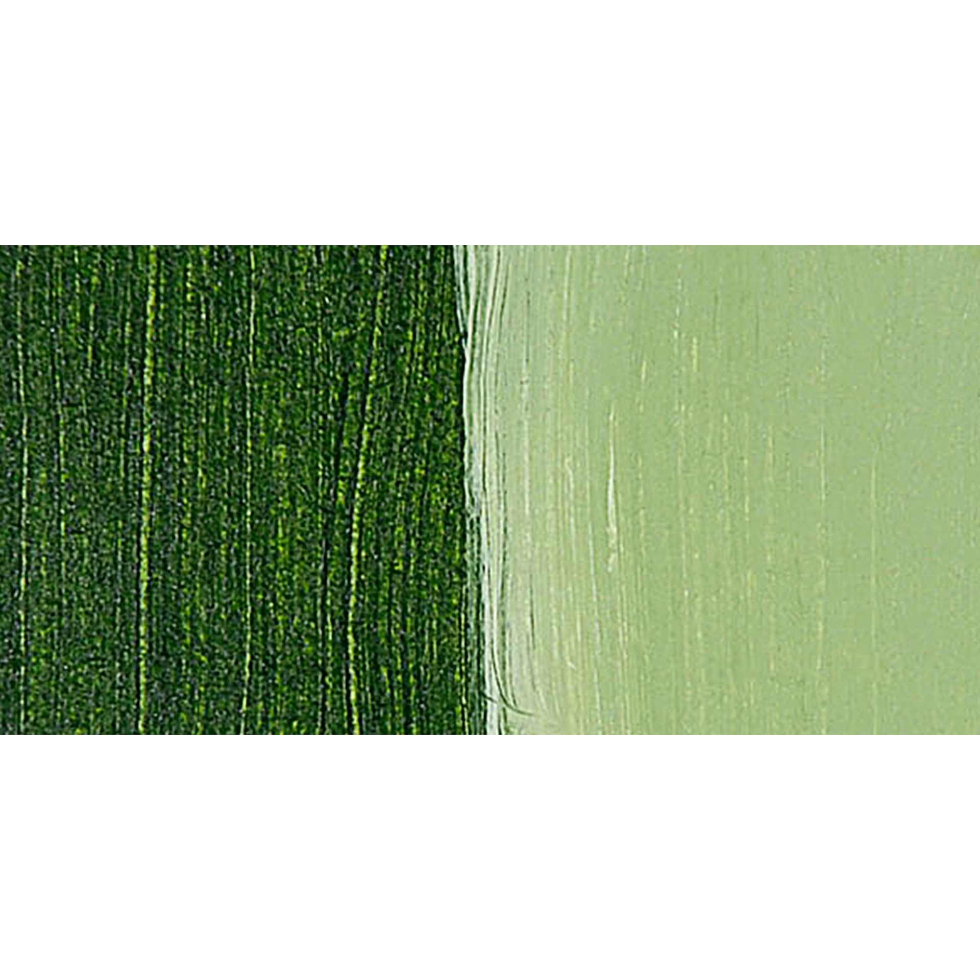 Liquitex Professional Soft Body Acrylic Paint - Sap Green Permanent swatch Liquitex Professional Soft Body Acrylic Paint - Sap Green Permanent swatch