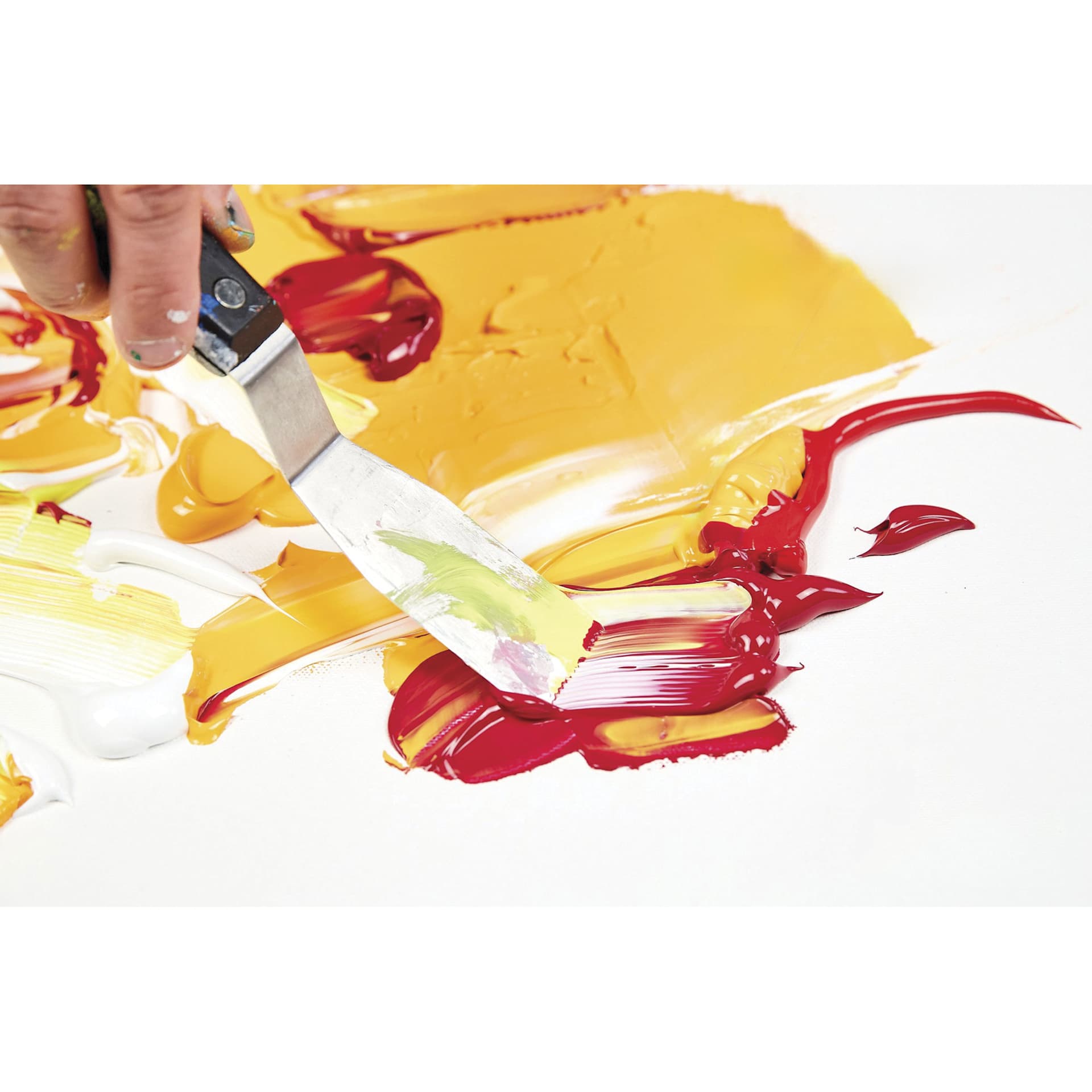 Liquitex Professional Heavy Body Acrylics - Set of 12, Essential Colors, 22 ml, paint on canvas