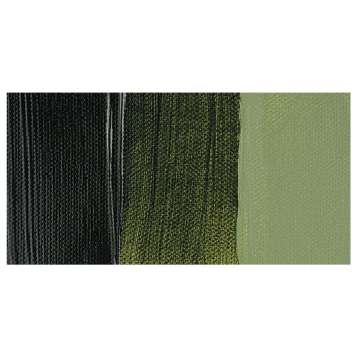 Golden Heavy Body Artist Acrylic Paint - Sap Green Hue swatch