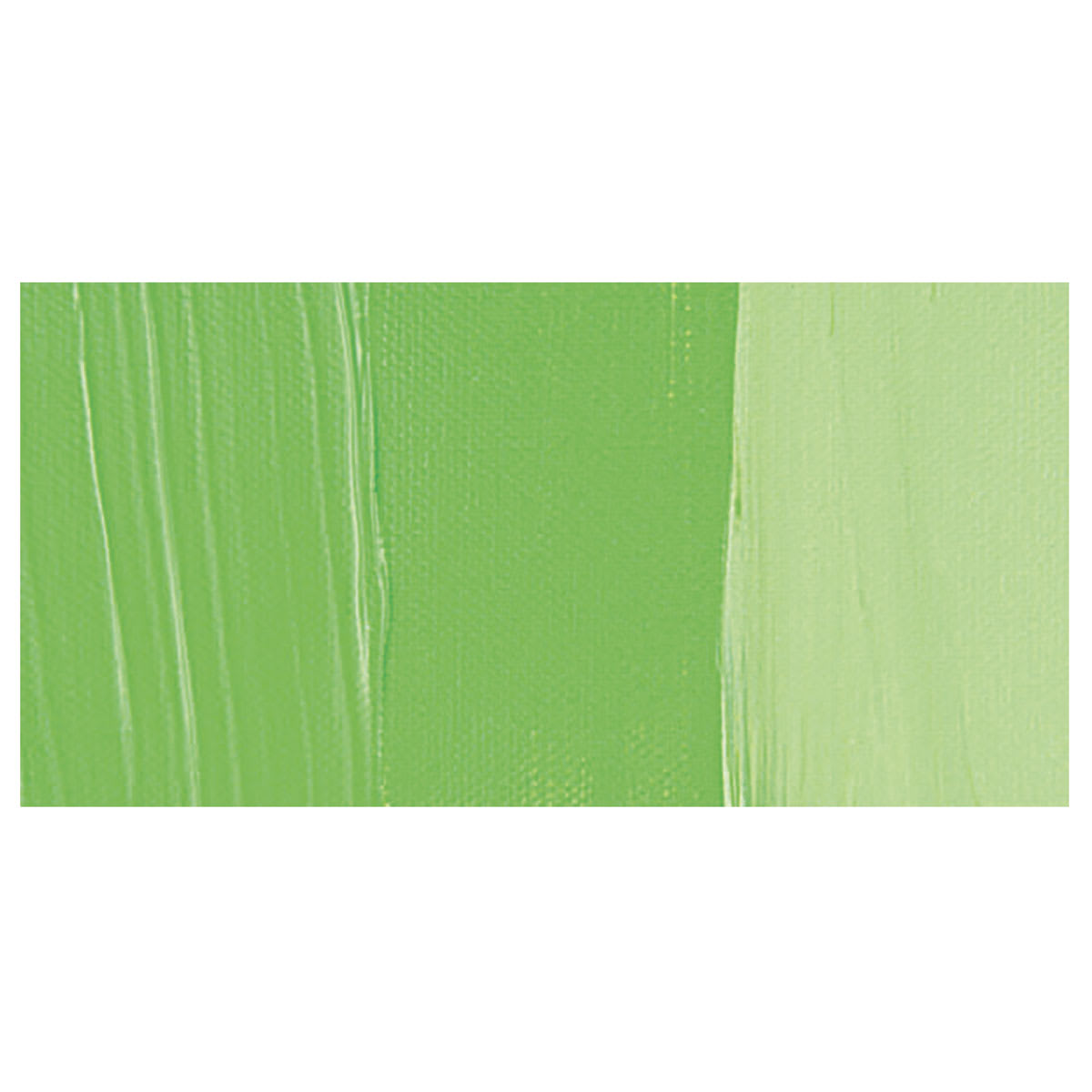 Golden Heavy Body Artist Acrylic Paint - Light Green (Yellow Shade) swatch