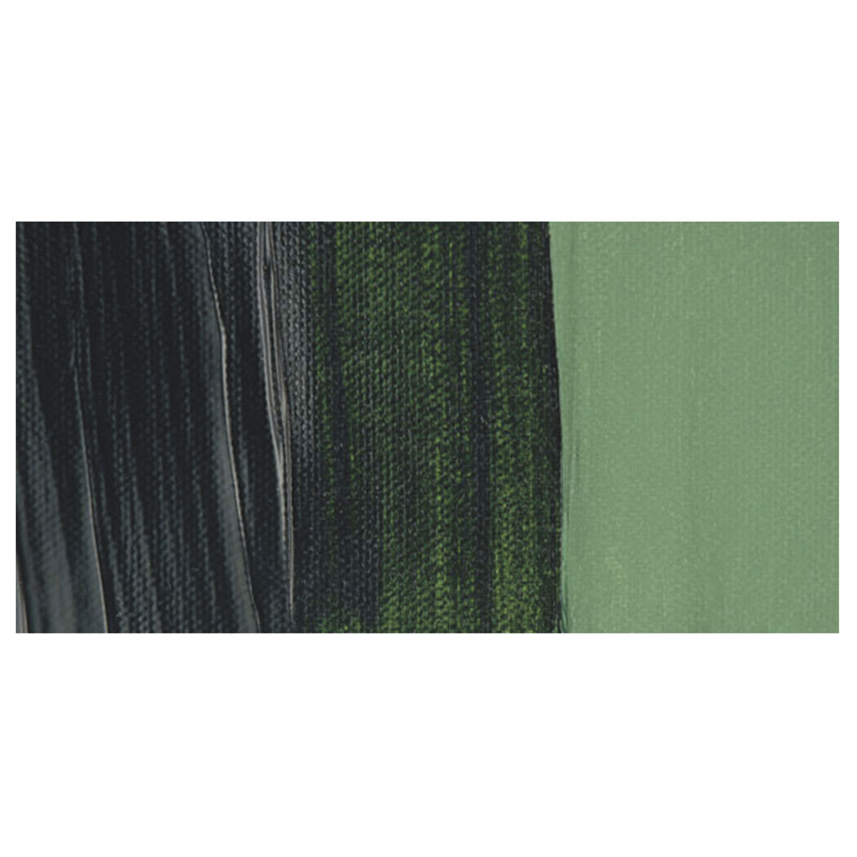 Golden Heavy Body Artist Acrylic Paint - Jenkins Green swatch