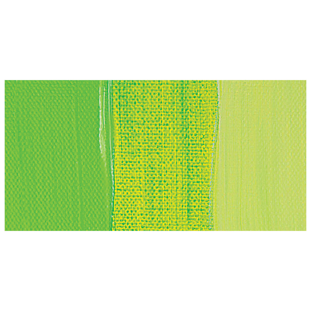 Amsterdam Standard Series Acrylic Paint - Yellowish Green swatch