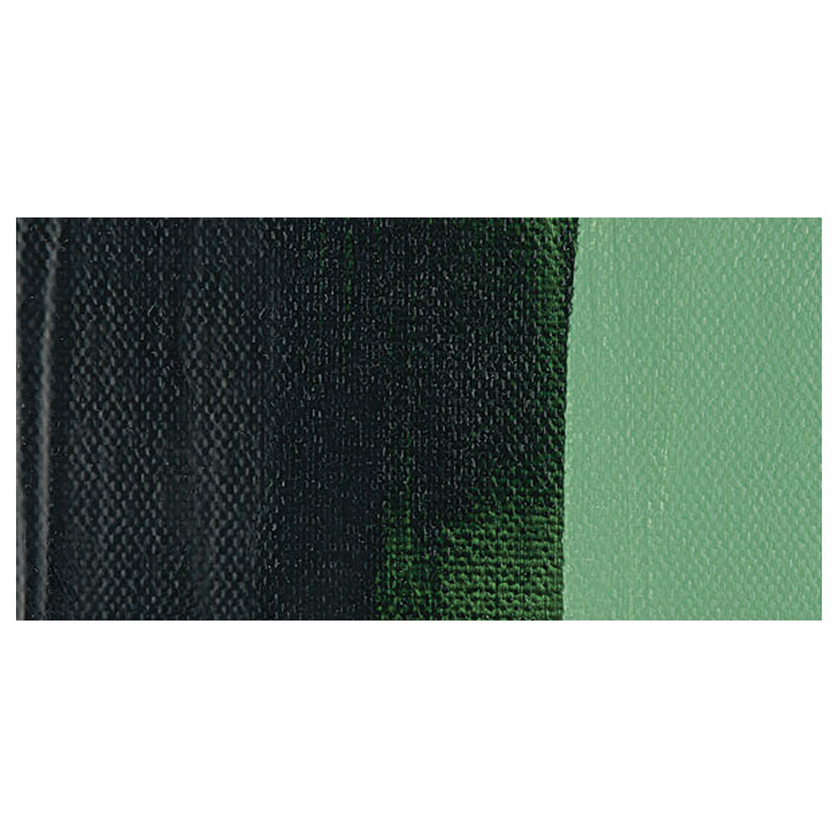 Amsterdam Standard Series Acrylic Paint - Sap Green swatch