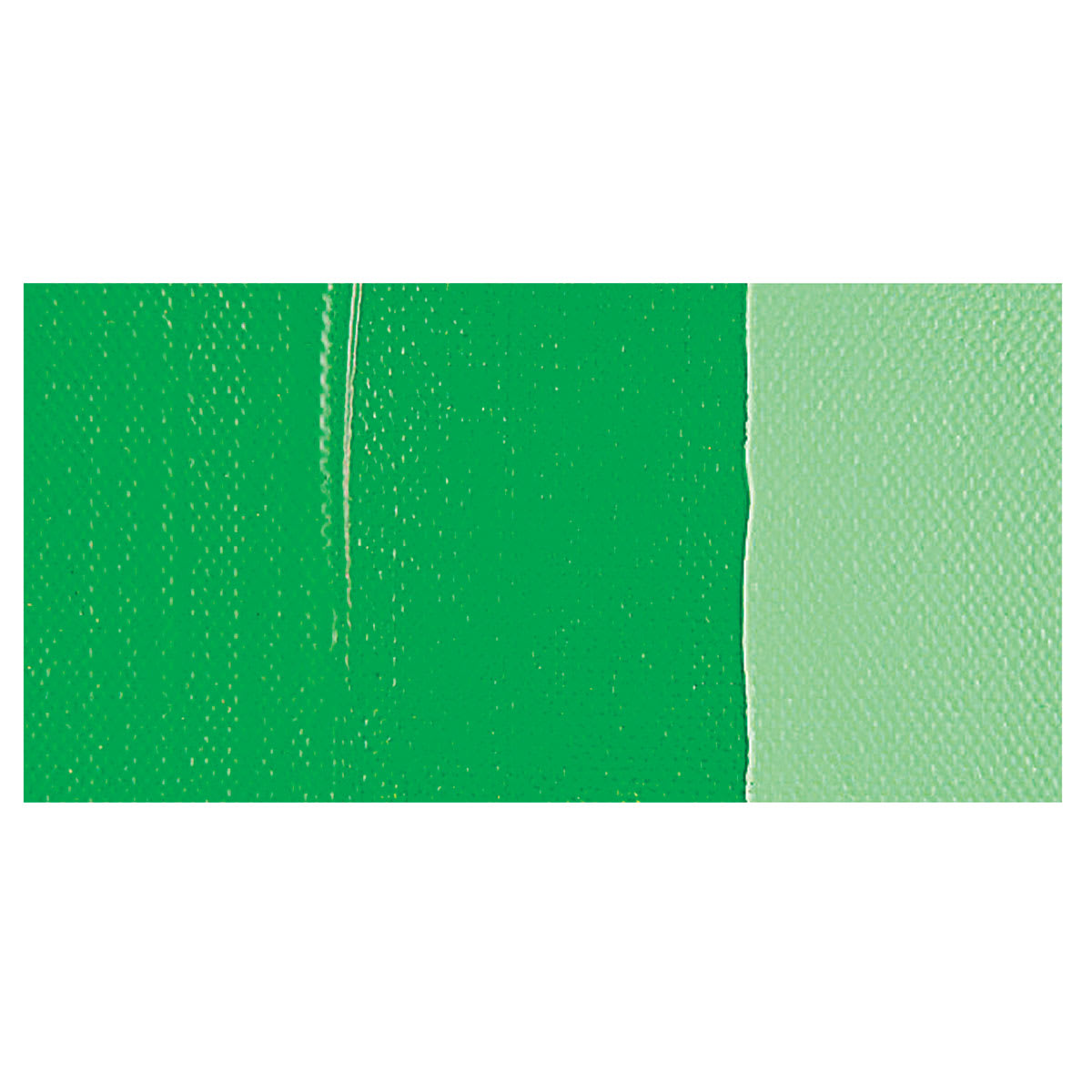 Amsterdam Standard Series Acrylic Paint - Permanent Green Light swatch