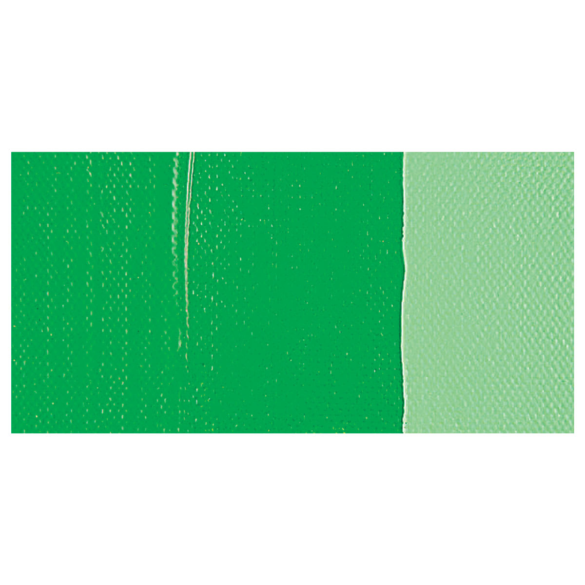 Amsterdam Standard Series Acrylic Paint - Permanent Green Light swatch