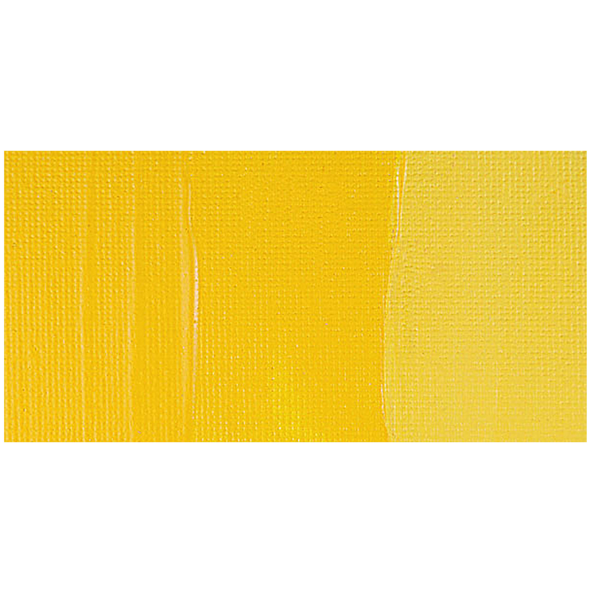 Chroma A2 Lightfast Heavy Body Arylic Paint - Cadmium Yellow Medium Hue swatch