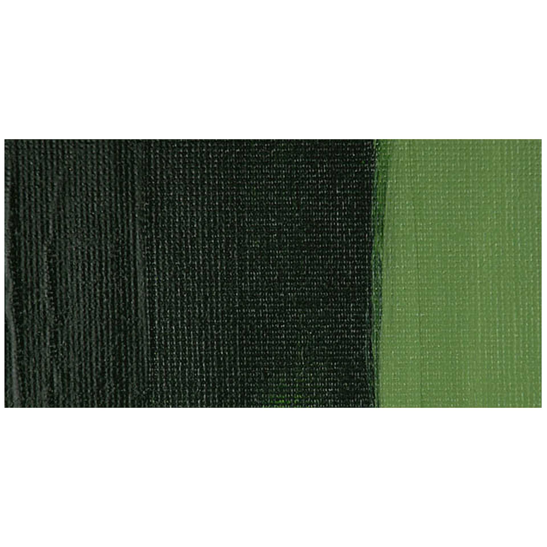 Chroma A2 Lightfast Heavy Body Arylic Paint - Hooker's Green Hue swatch