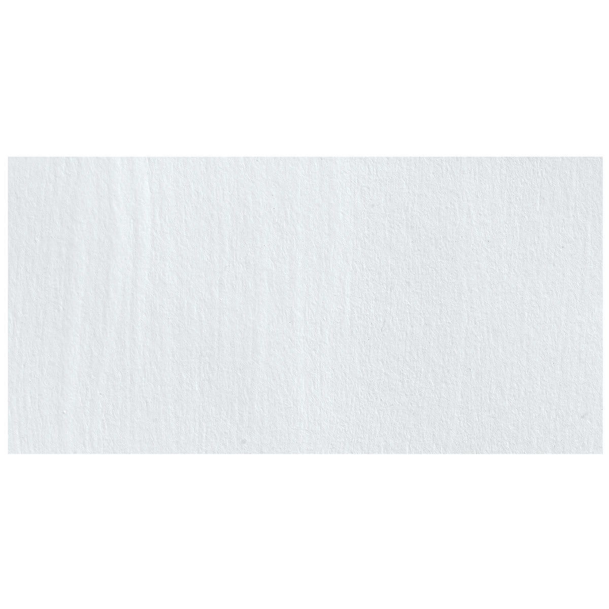 Maimeri Polycolor Vinyl Paint - Zinc White swatch
