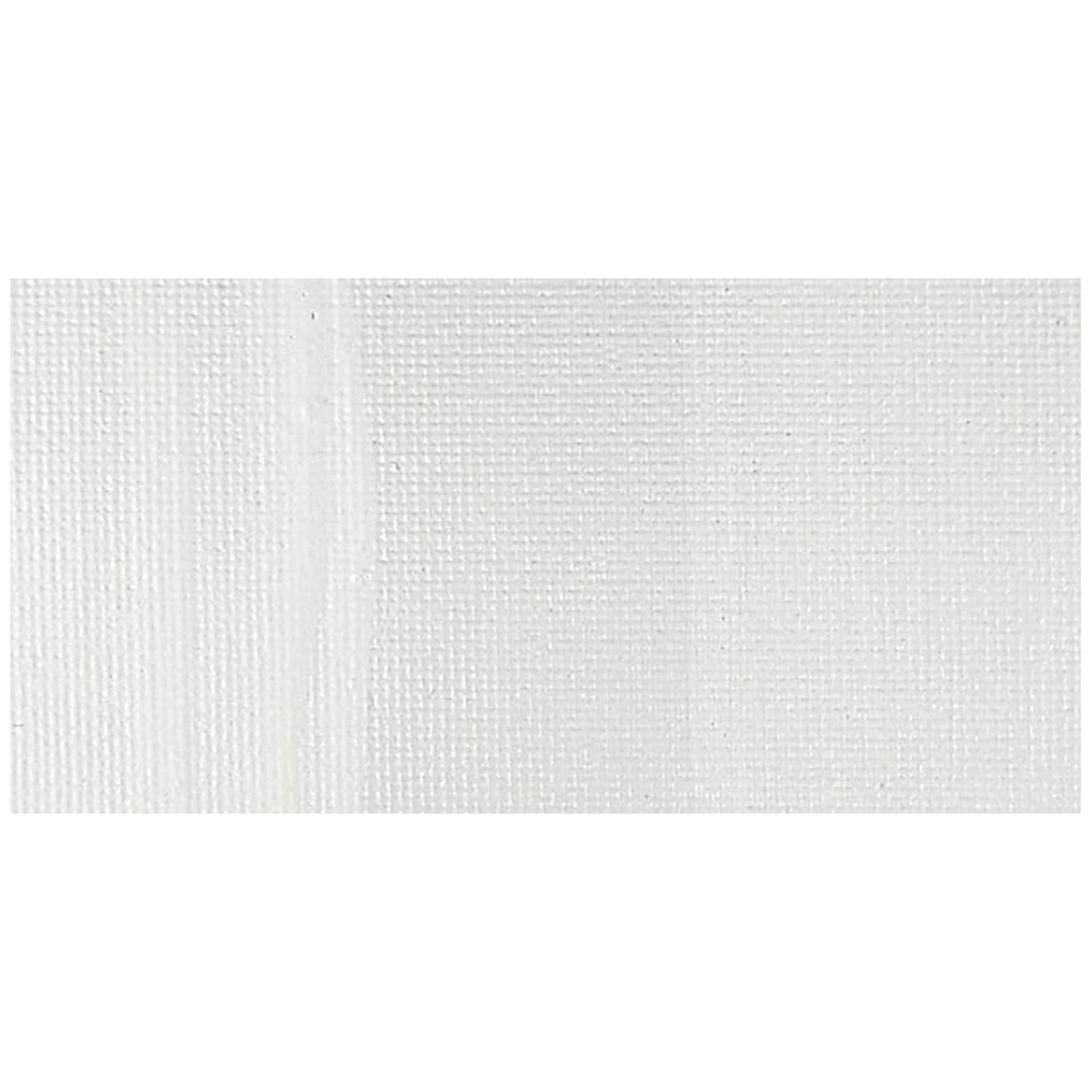 Blickrylic Student Acrylics - Titanium White swatch