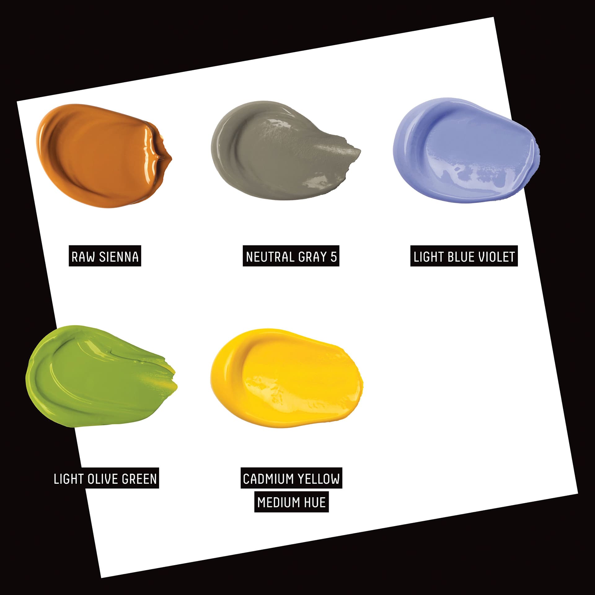 Liquitex What Would You Create Basics Acrylic Set - Fabric Painting, Set of 9 swatches of included colors