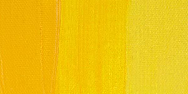 Liquitex Basics Acrylic Paint - Cadmium Yellow Deep Hue swatch