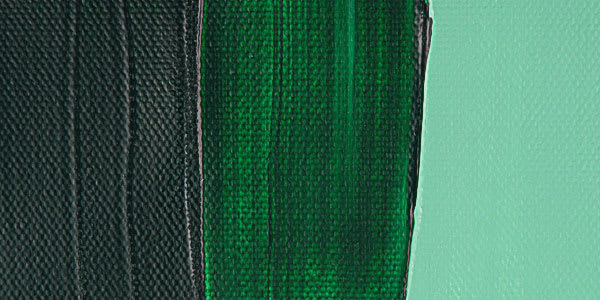 Liquitex Basics Acrylic Paint - Deep Green Permanent swatch