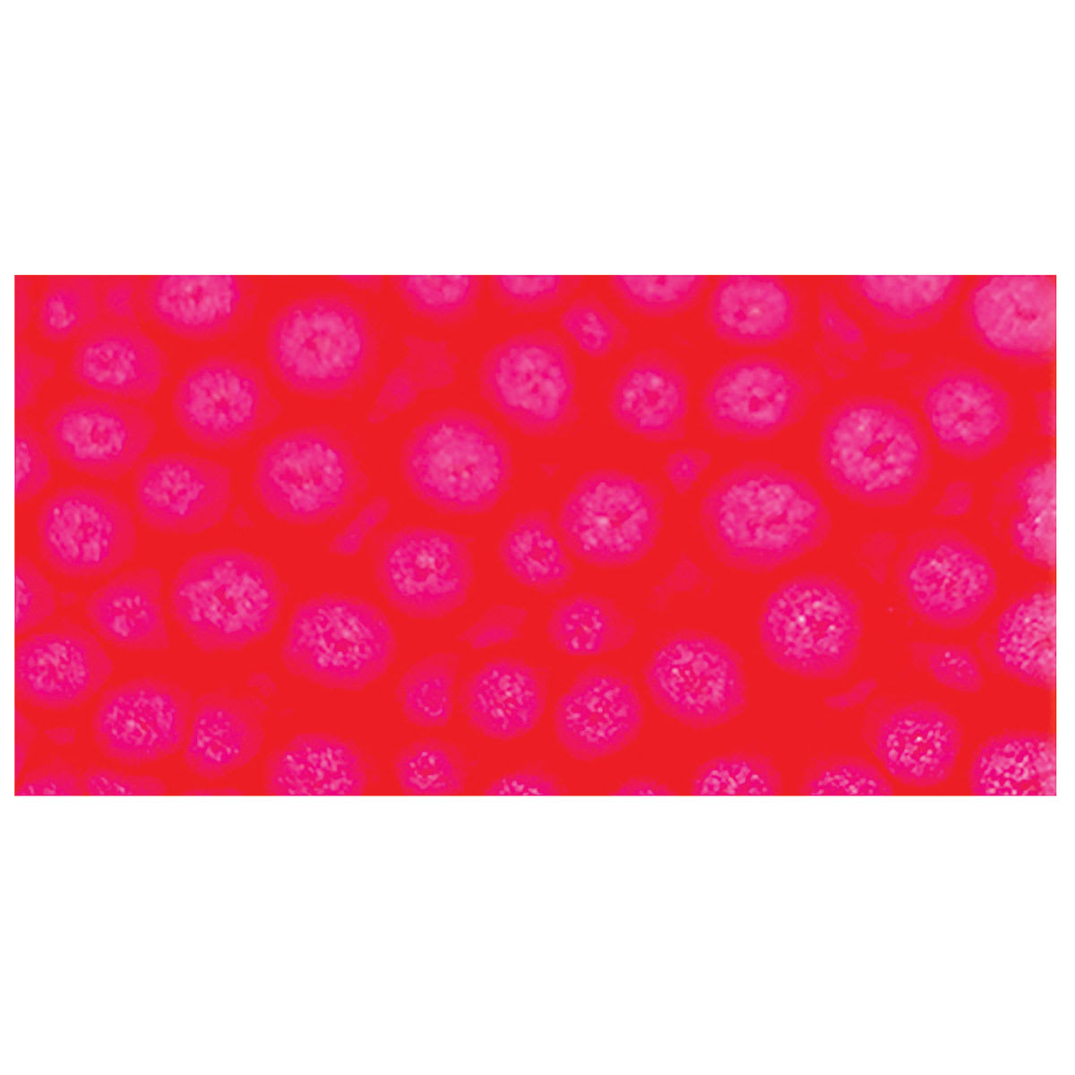 Pebeo Fantasy Prisme Paint - Fluorescent Pink swatch