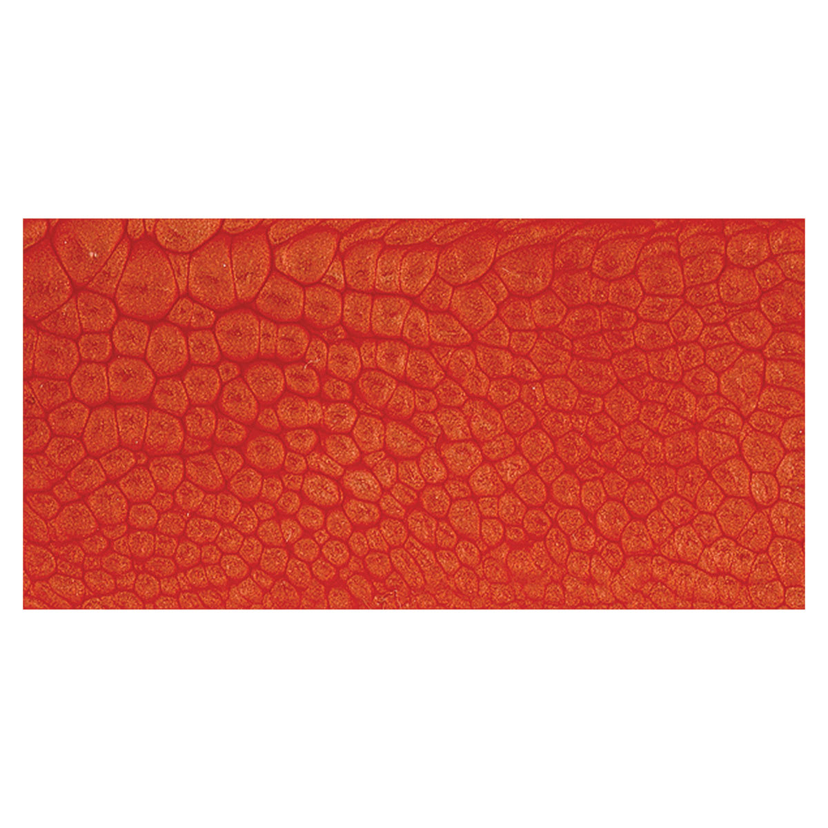 Pebeo Fantasy Prisme Paint - Vermilion swatch