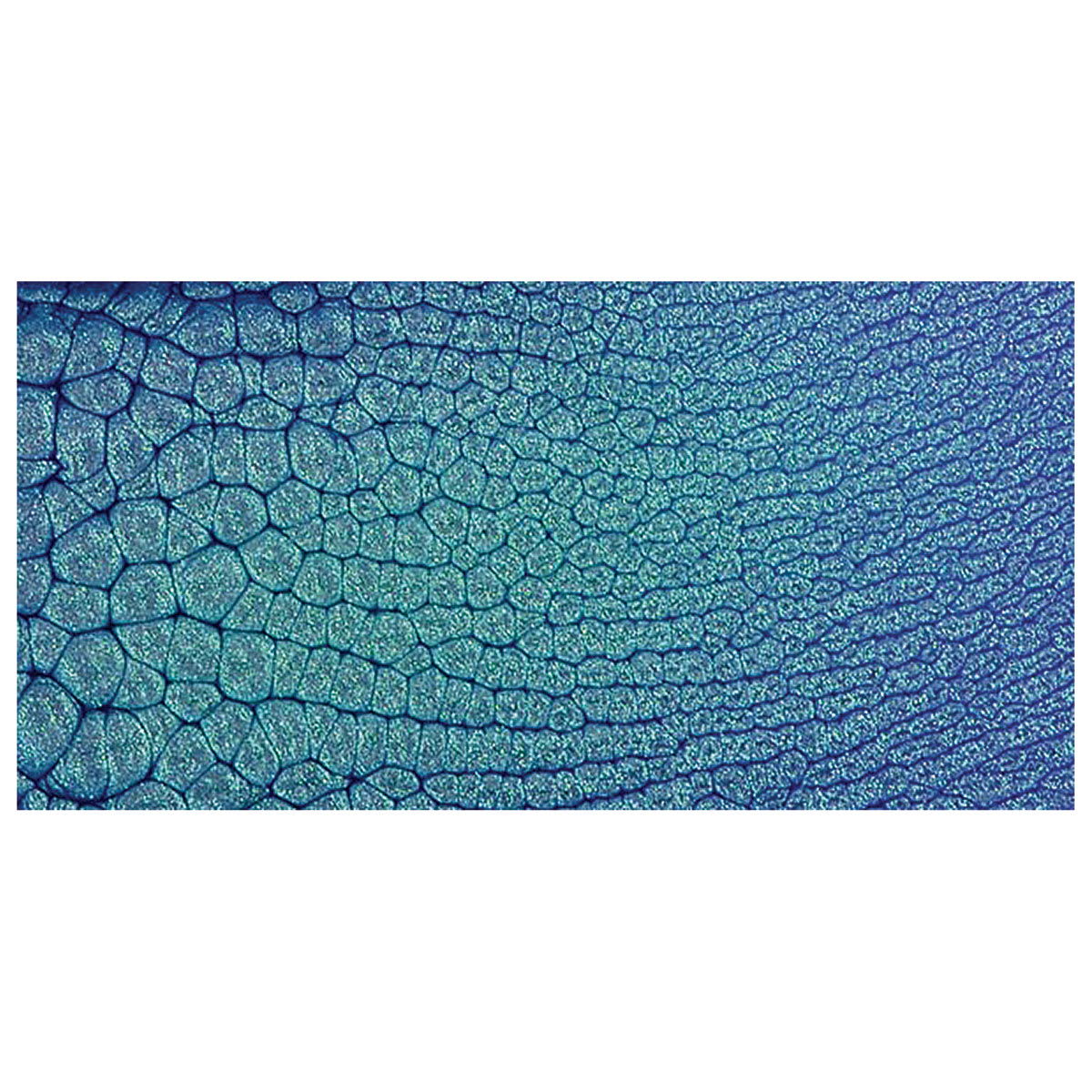 Pebeo Fantasy Prisme Paint - Marina swatch