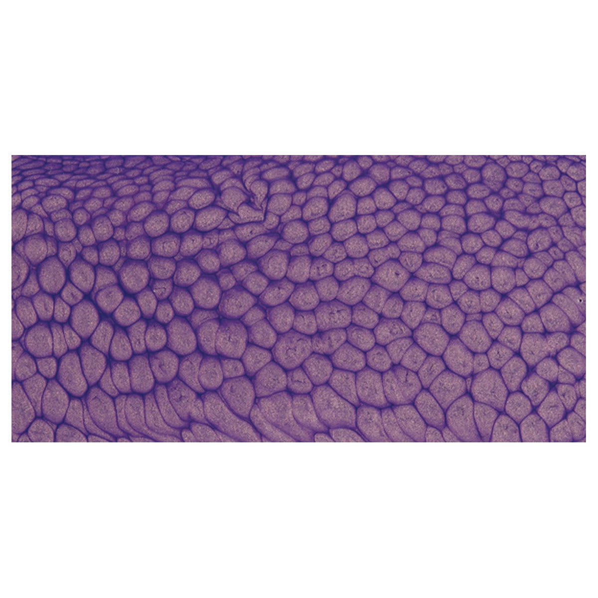 Pebeo Fantasy Prisme Paint - Pearl Violine swatch