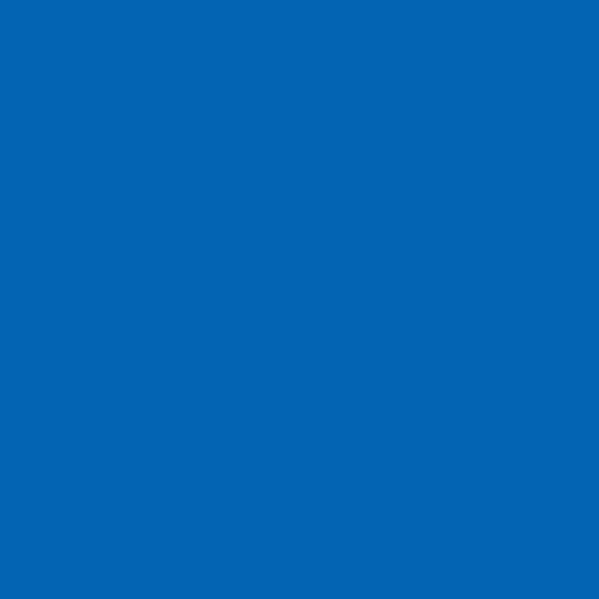 Solid Marker Blue