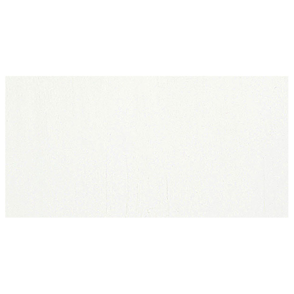 Richeson Casein Paint The Shiva Series - Titanium White swatch