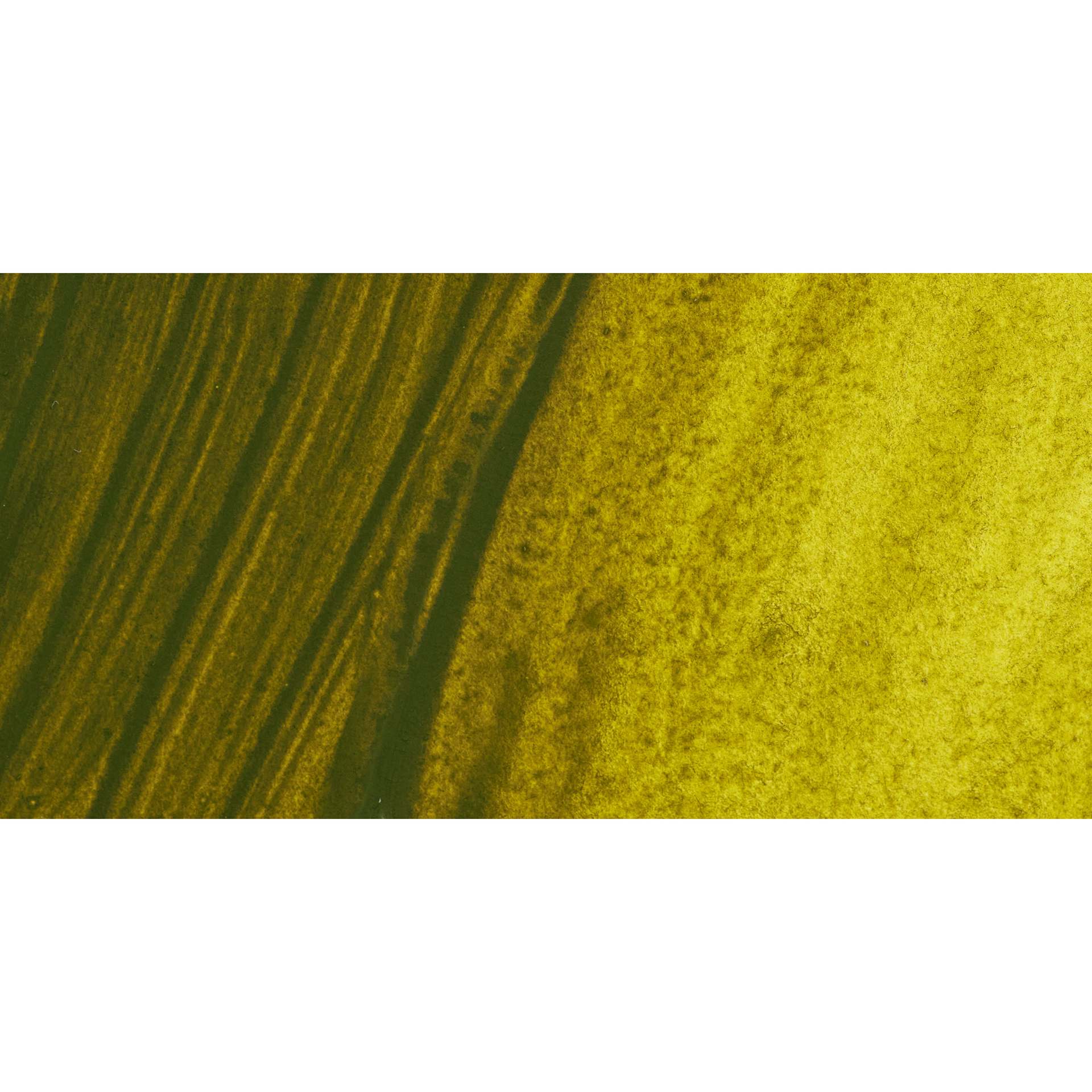 ShinHan Pass Colors Opaque Watercolor Tube - Greenish Yellow swatch