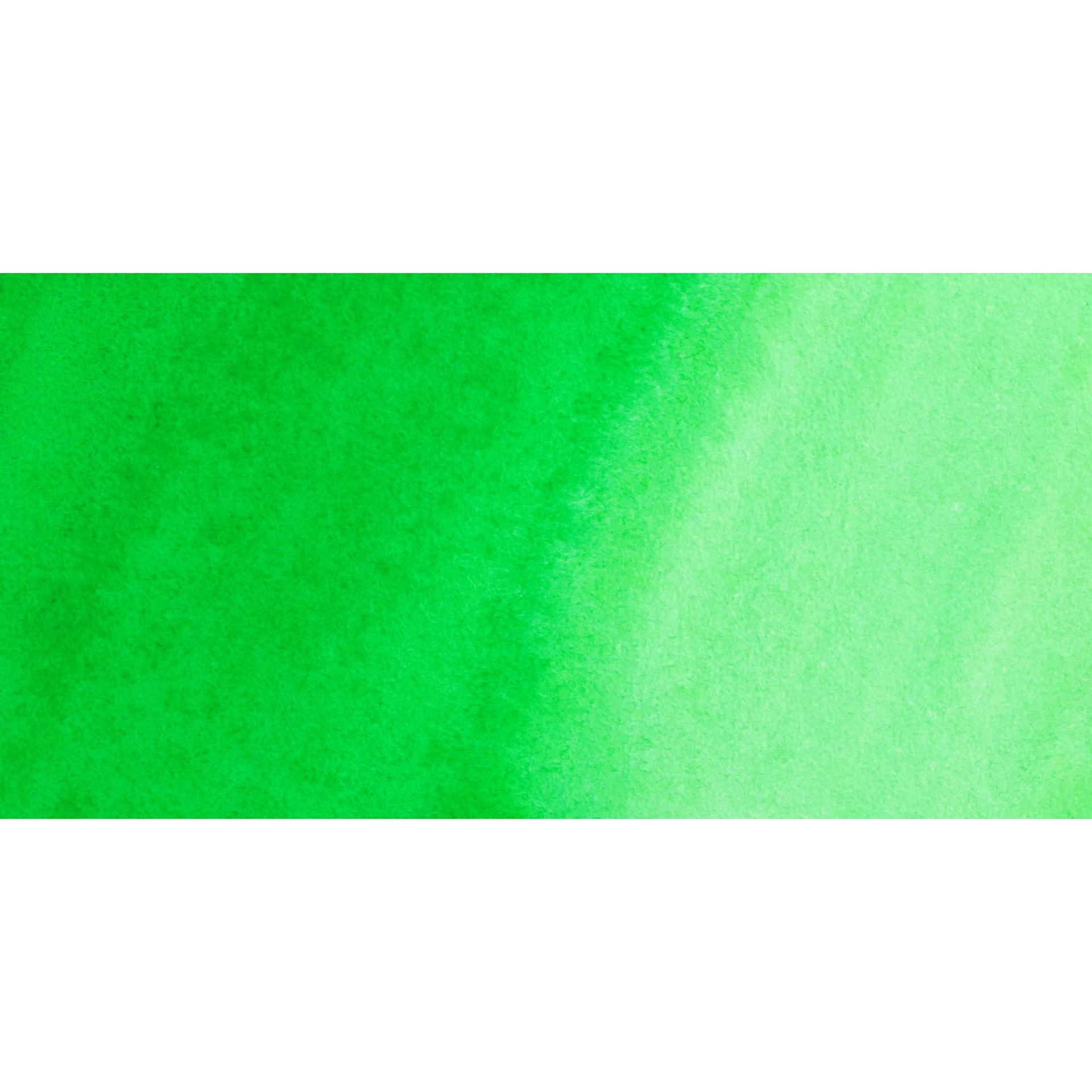 ShinHan Pass Colors Opaque Watercolor Tube - Light Green swatch