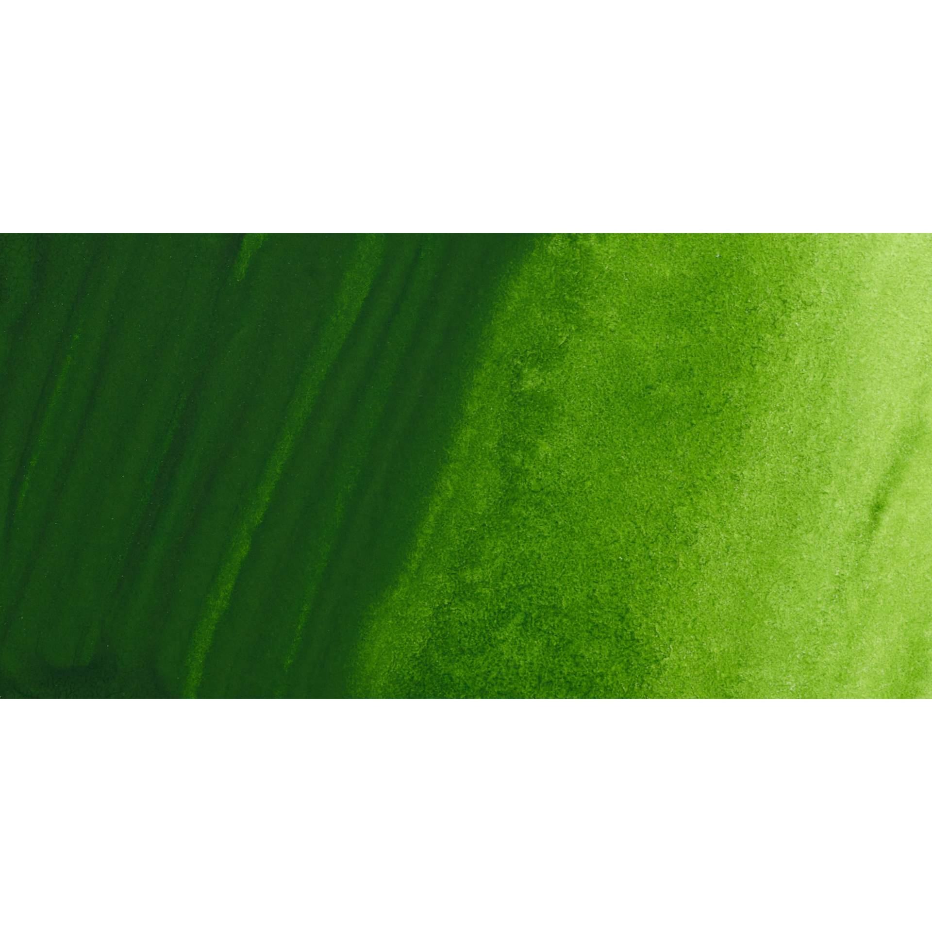 ShinHan Pass Colors Opaque Watercolor Tube - Sap Green swatch