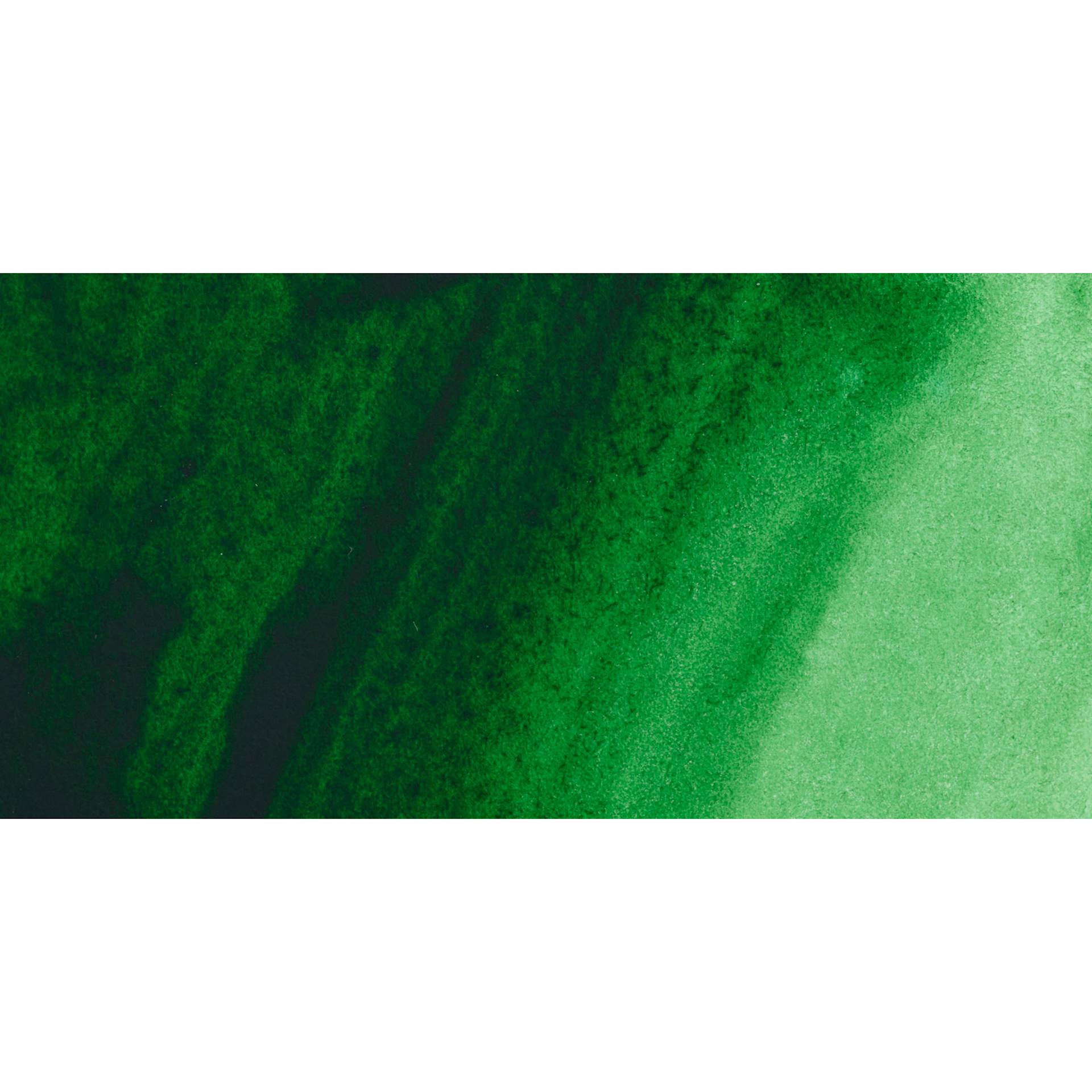 ShinHan Pass Colors Opaque Watercolor Tube - Hooker's Green swatch