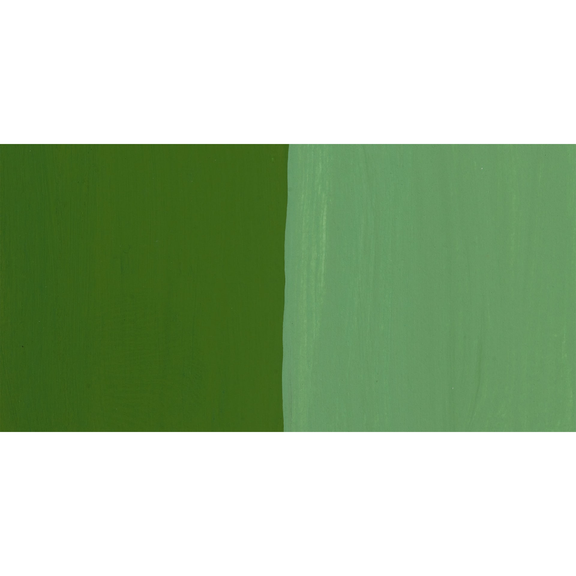 Schmincke Akademie Gouache Paint - Sap Green Swatch
