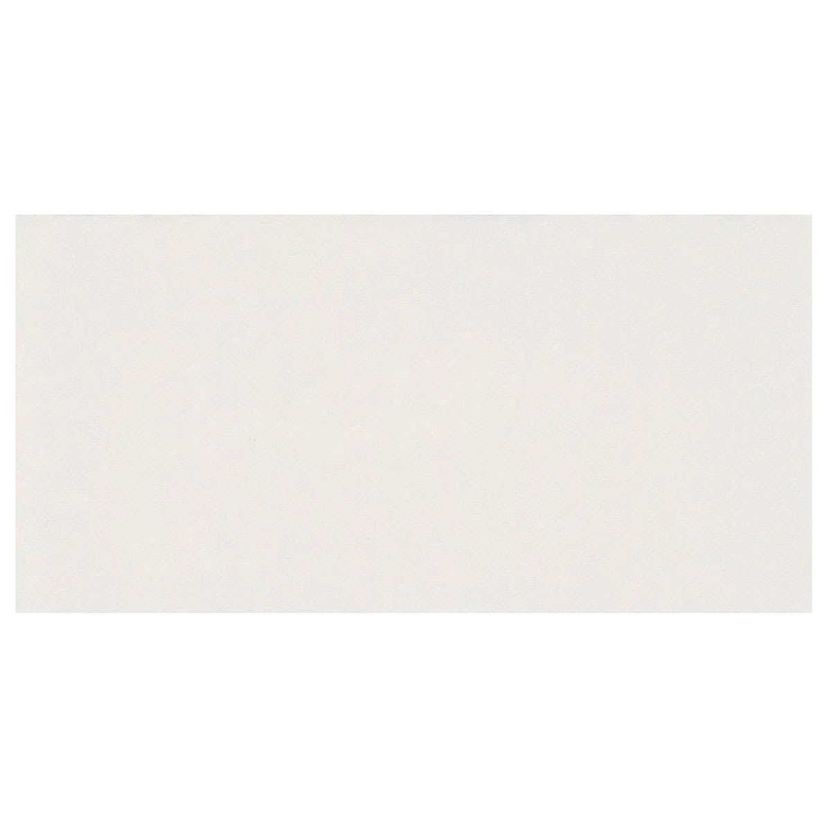 Testors Enamel Paint - Gloss White swatch