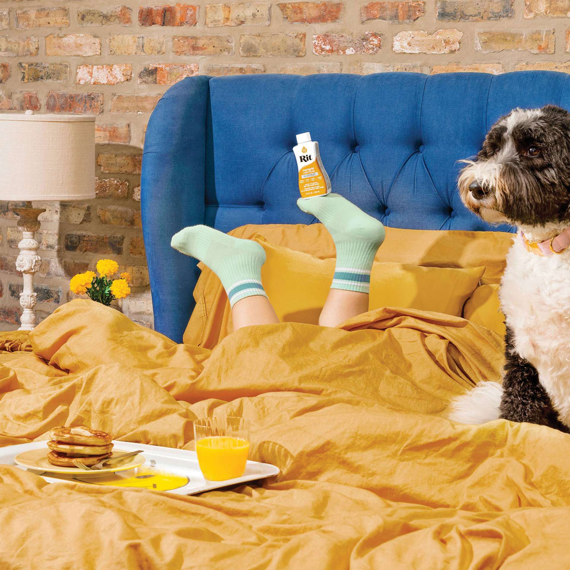 Rit All Purpose Liquid Dye - Marigold, 8 oz applied to bed set