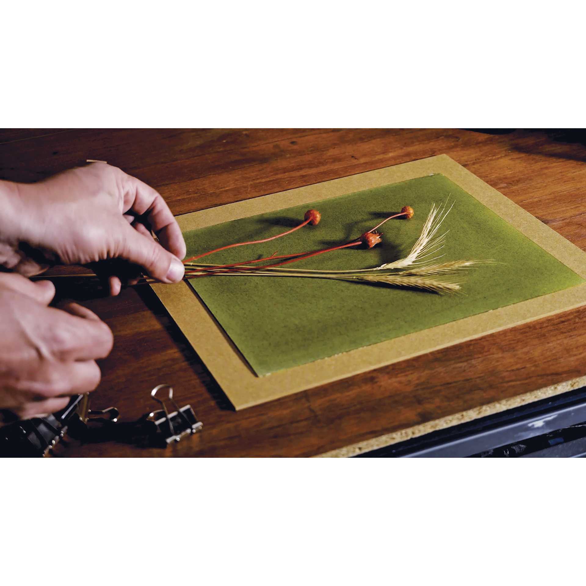 Jacquard Cyanotype Kit, kit being used indoors