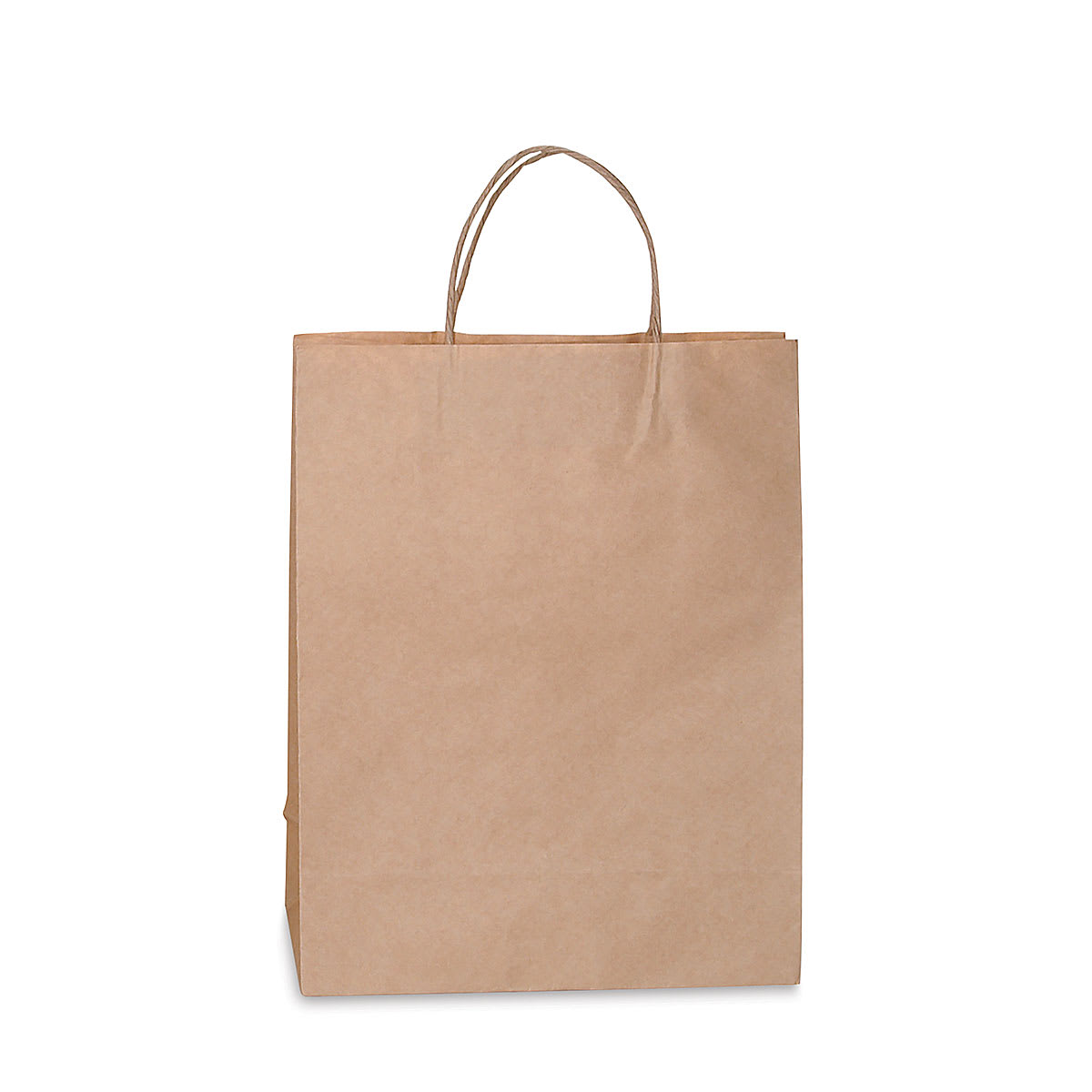 Darice Kraft Paper Bags with Handles - Medium, Single Bag