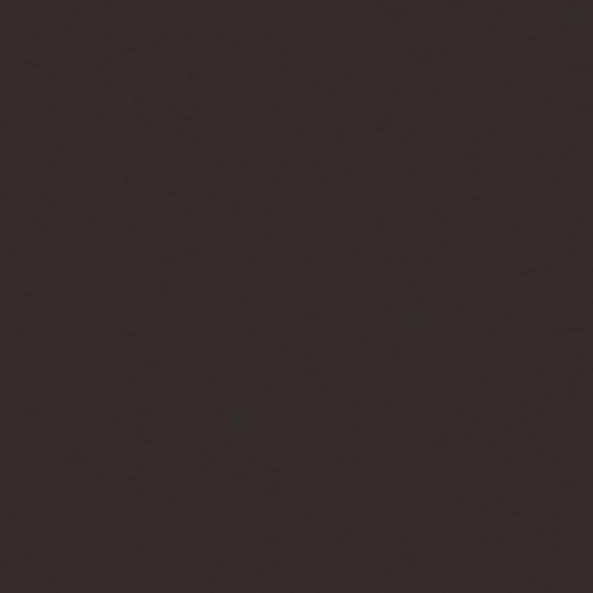 Liquitex Professional Spray Paint - Burnt Umber swatch