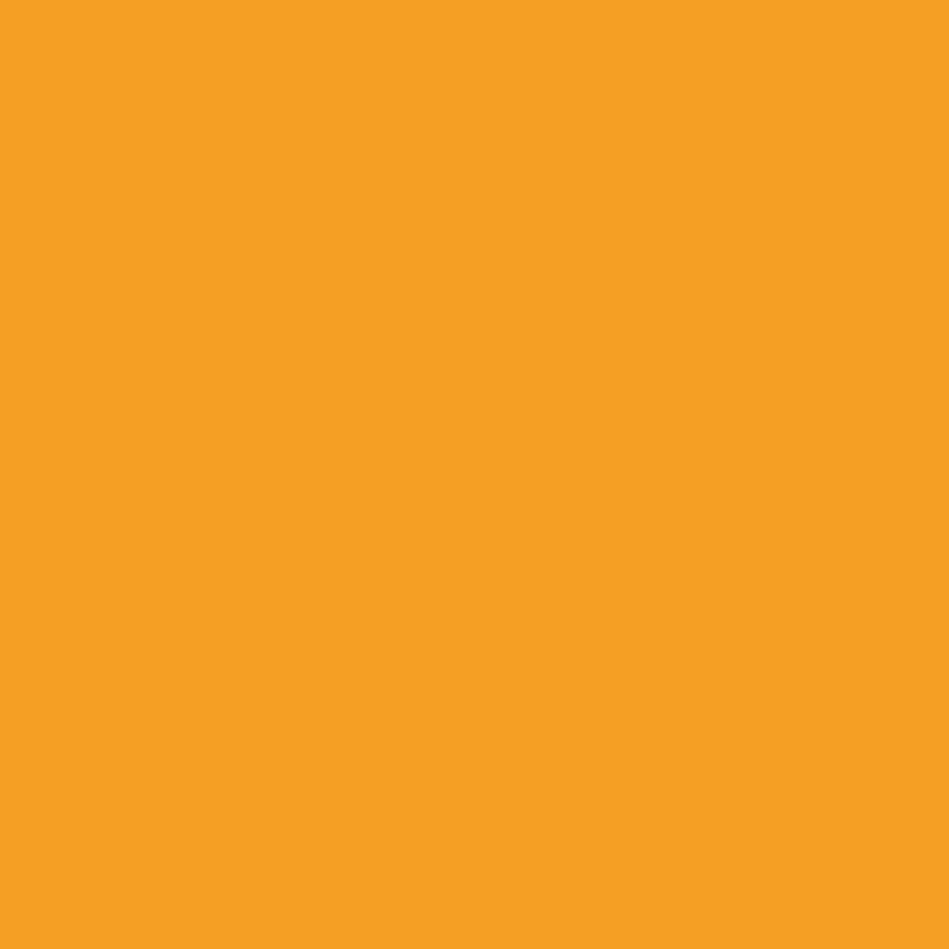Dang Prime Spray Paint - Vivid Orange swatch