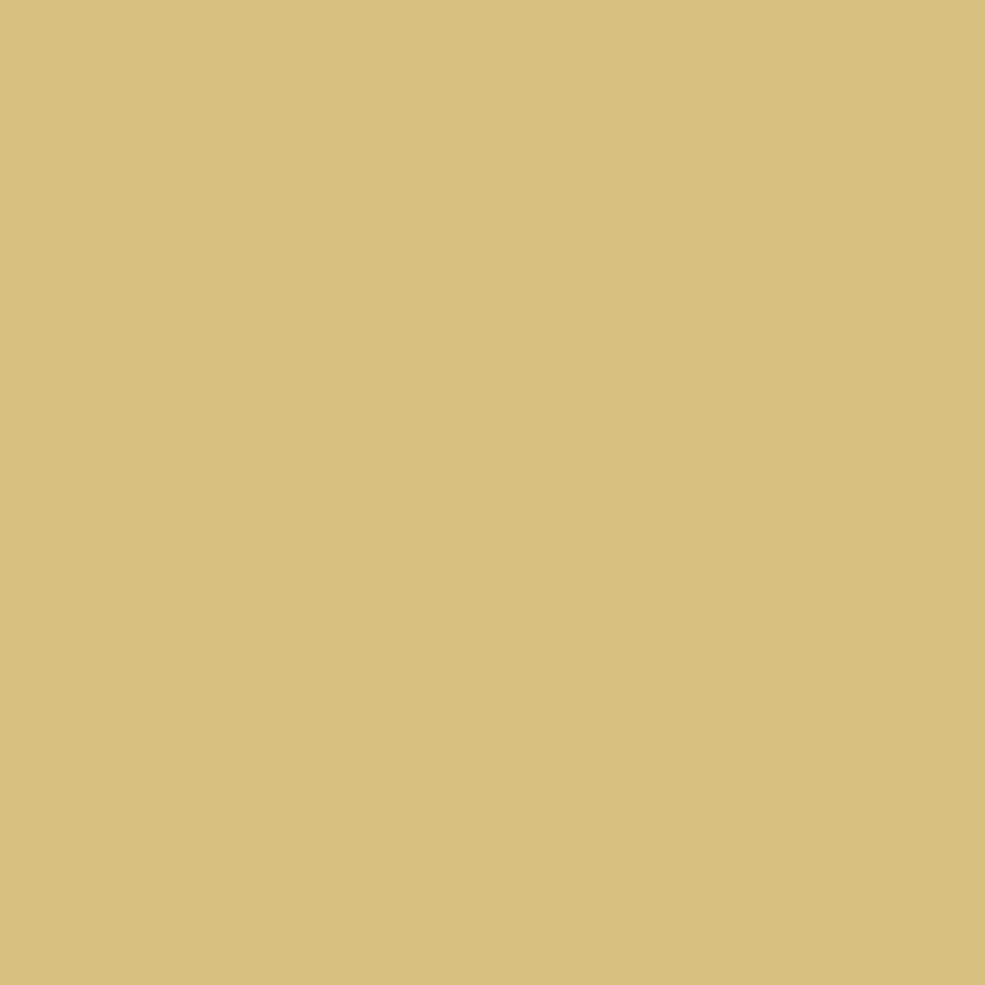 Dang Prime Spray Paint - Gold swatch
